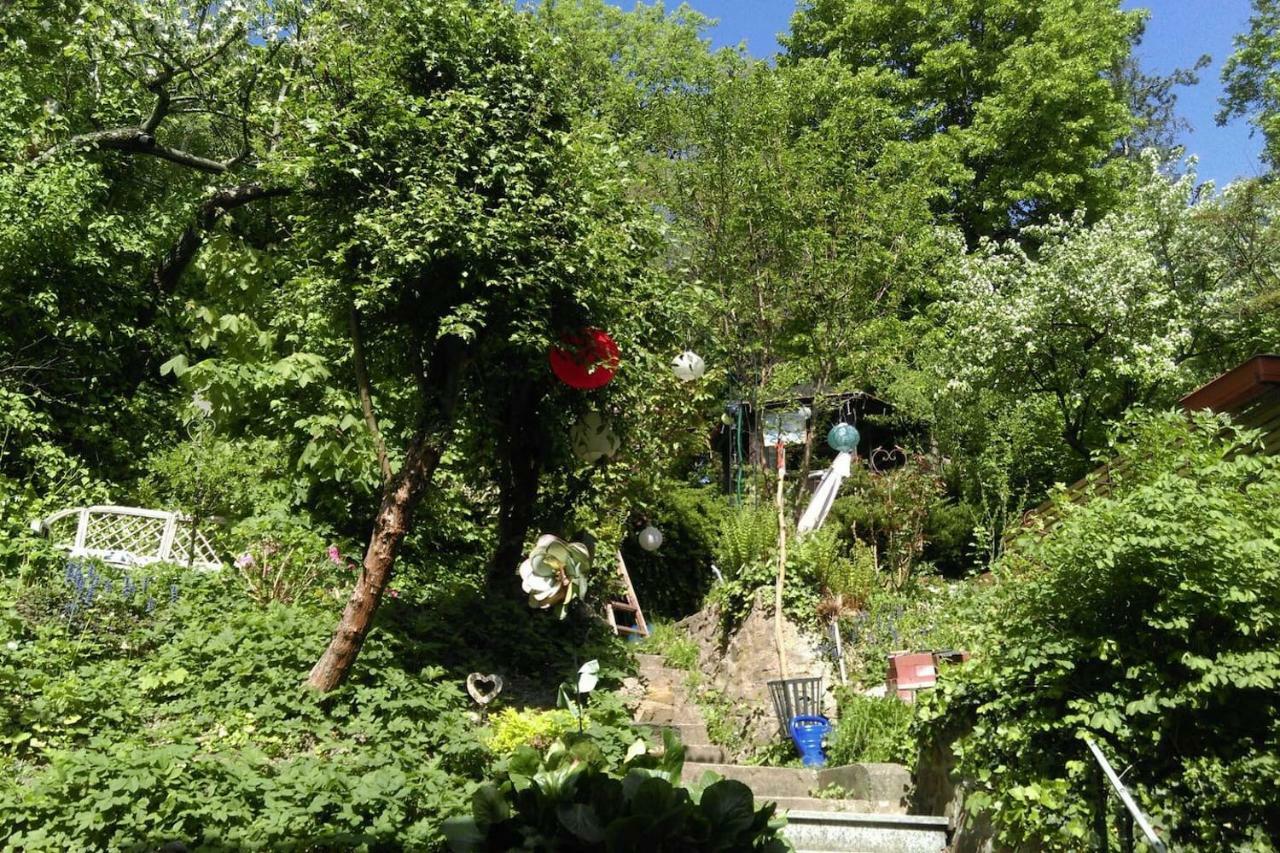 Ruhige, Grosse Ferienwohnung Am Muehlberg, Stadtrand Wien Eksteriør billede